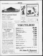 Síða 11