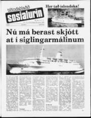 Síða 1