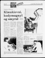 Síða 10