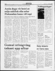 Síða 2