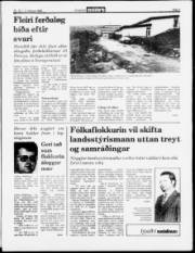 Síða 3