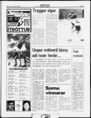 Síða 7