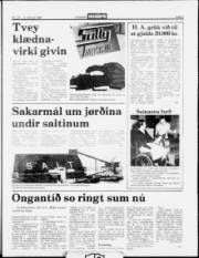 Síða 5