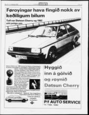 Síða 13