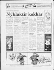 Síða 16