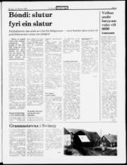 Síða 3