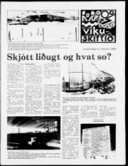 Síða 7