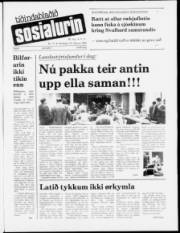 Síða 1
