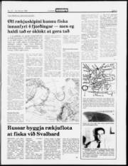 Síða 5
