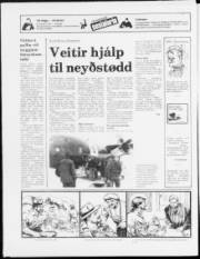 Síða 16