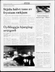 Síða 5