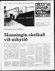 Síða 7