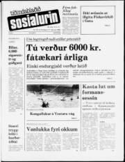 Síða 1