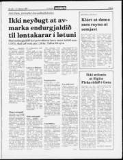 Síða 3