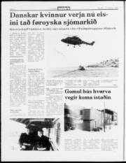 Síða 4