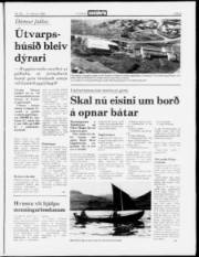 Síða 5