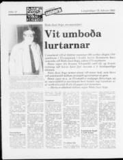 Síða 12