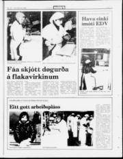 Síða 19