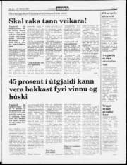 Síða 3