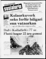 Síða 1