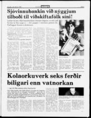 Síða 3