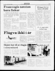 Síða 5