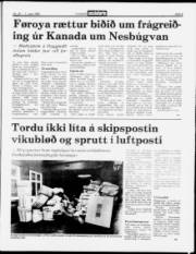 Síða 5