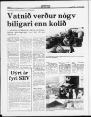 Síða 10