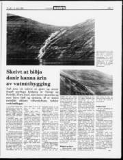 Síða 11