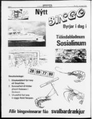 Síða 2