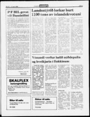 Síða 5