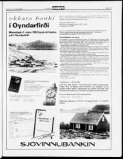Síða 17