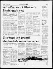 Síða 5