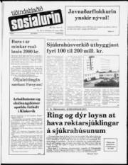 Síða 1