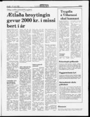 Síða 3