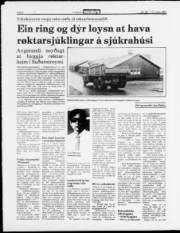 Síða 8