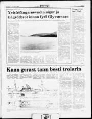 Síða 3