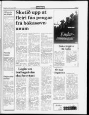 Síða 5