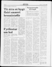 Síða 12