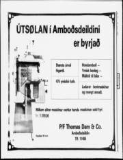 Síða 13
