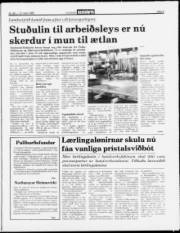 Síða 3