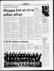Síða 5