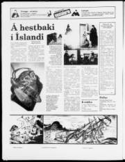 Síða 16