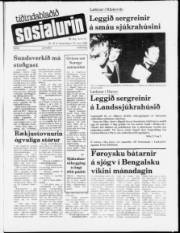 Síða 1