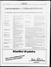 Síða 17