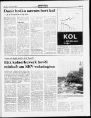 Síða 19