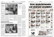 Síða 3