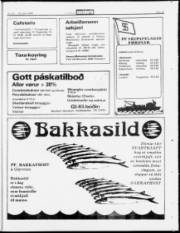 Síða 23