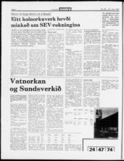 Síða 4