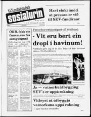 Síða 1